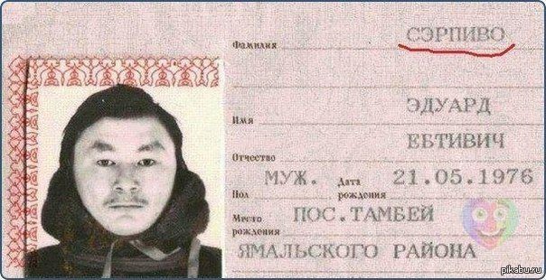 � ��������� �������� VodkaPivo)