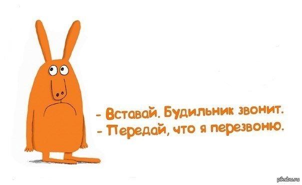 � ��� ������ ����...