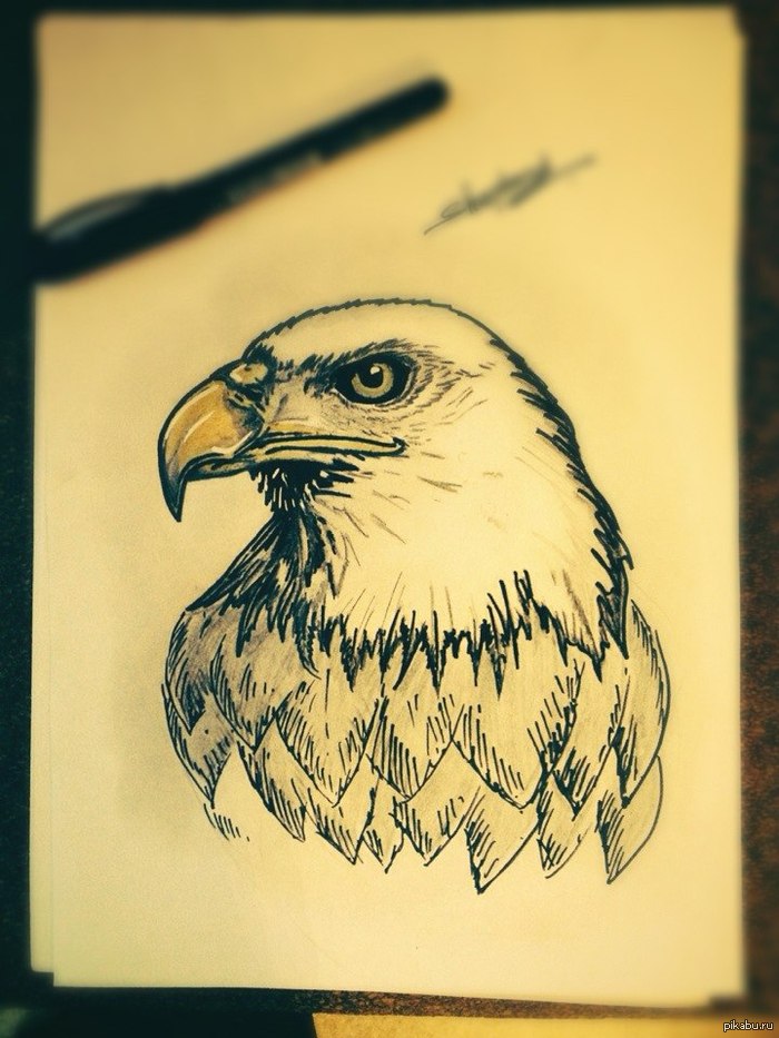 ������ ������ : part 2)