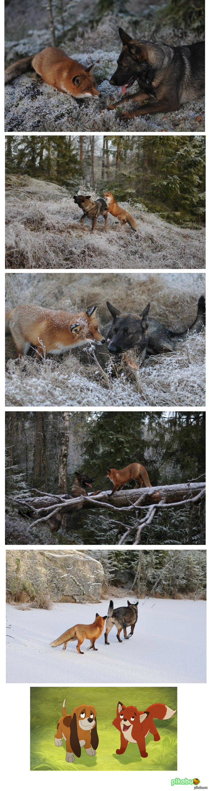 ��� � ��