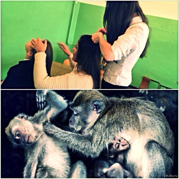 ��� ����� ��� � ��� ���� �:D