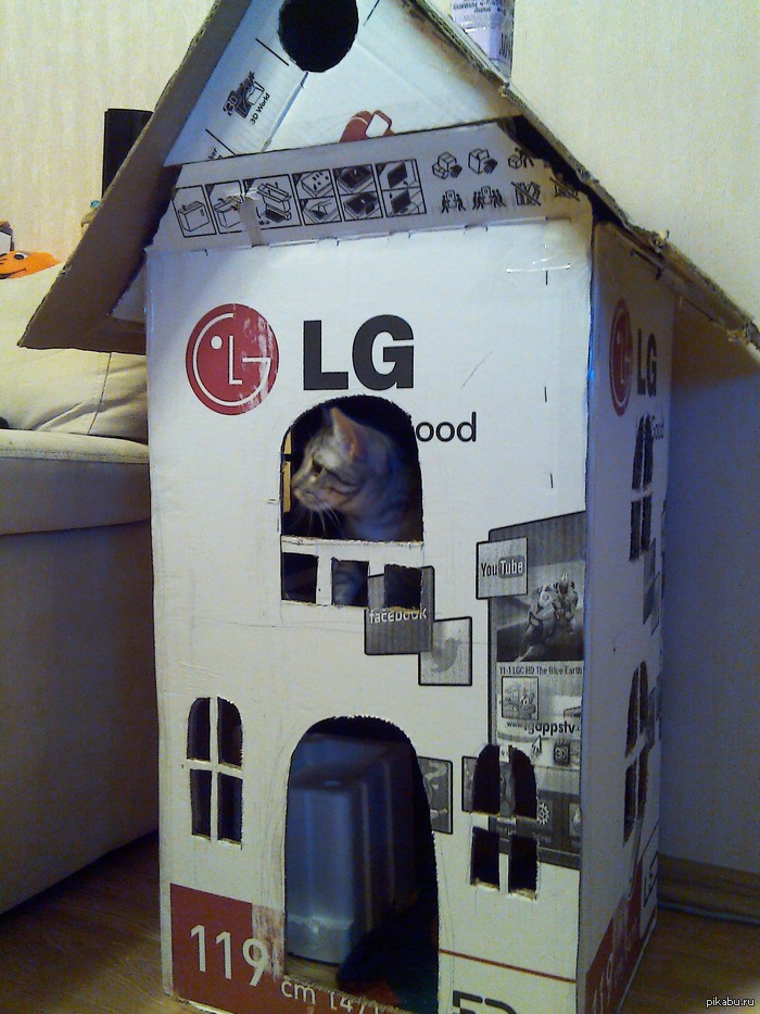 ������ ����� ������� �� ����������