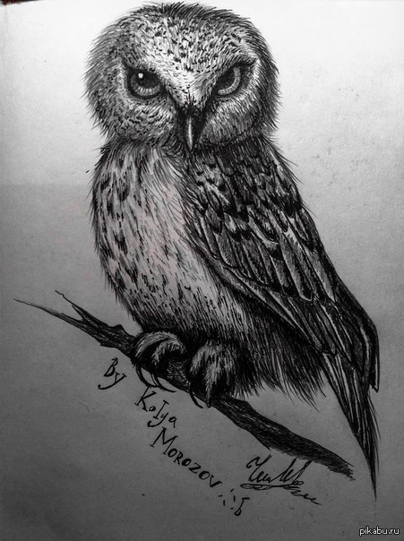 Отключили интернет на 2 недели :)