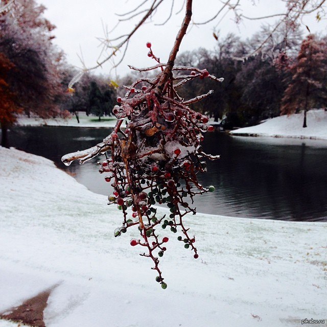 ������ � �������� ������, ����� ����, ����� ������ ����������� �� ���� ��� 23 ����)