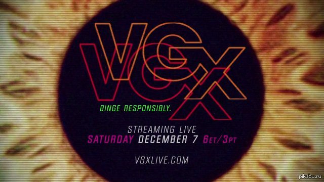 VGX 2013