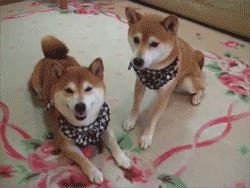 Кто твой друг?