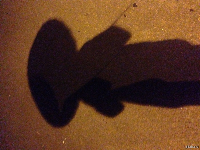 Угадайте, что это?