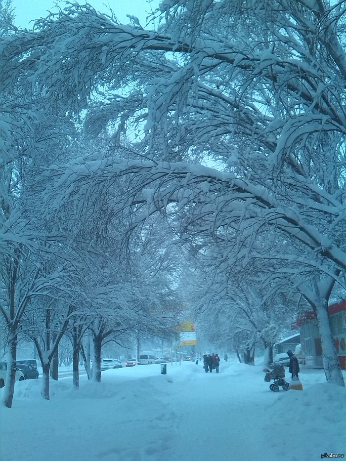 ��-�����, ���� ������ ���� ������ �����.