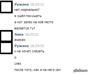 В любой непонятной ситуации садись на кота