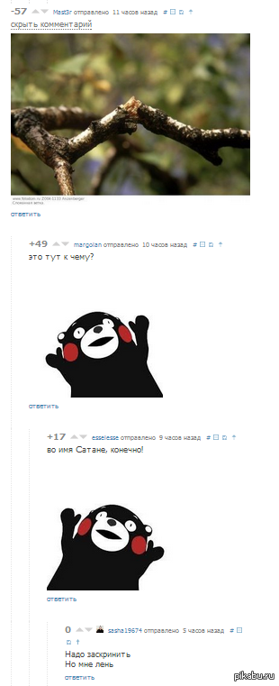    ) 