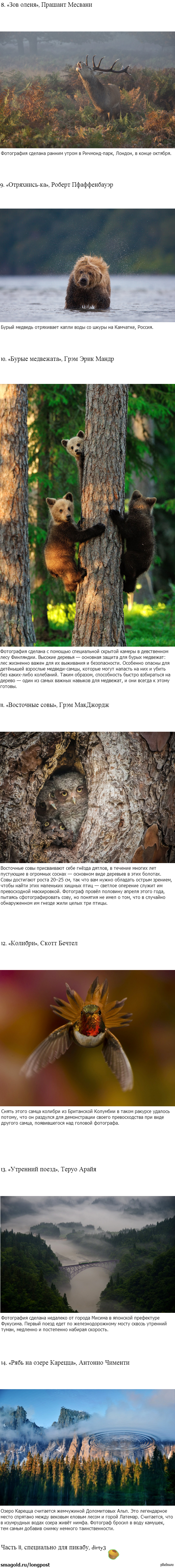 14 самых потрясающих фотографий природы, сделанных в 2013-м году
