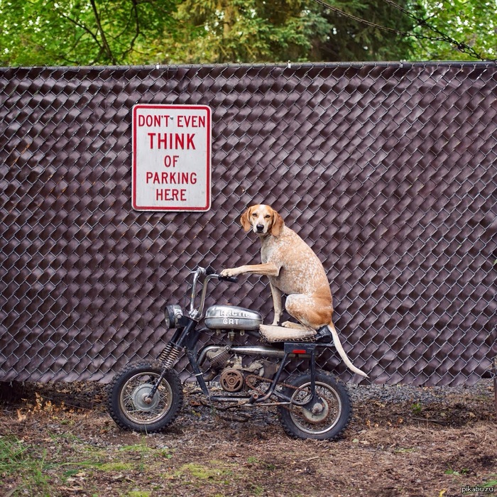 Don't even think of parking here!