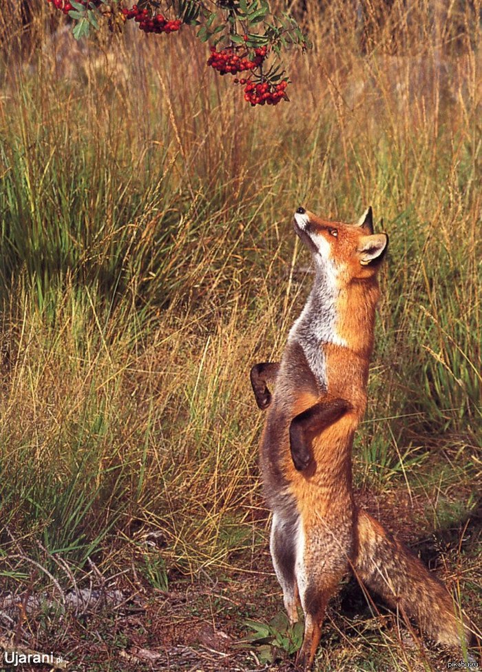 &quot;! !  ...&quot;