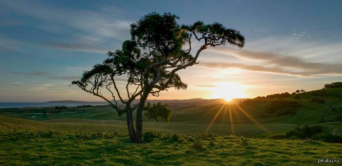 Идеальное место, идеальный закат.