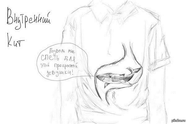 Внутренний кит