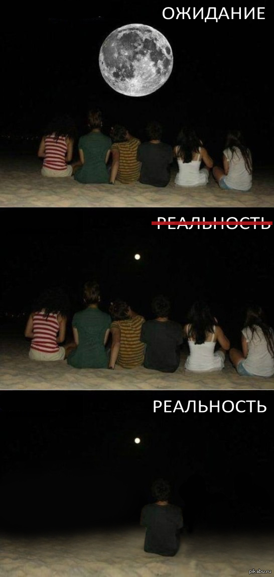 Форева Элон | Пикабу