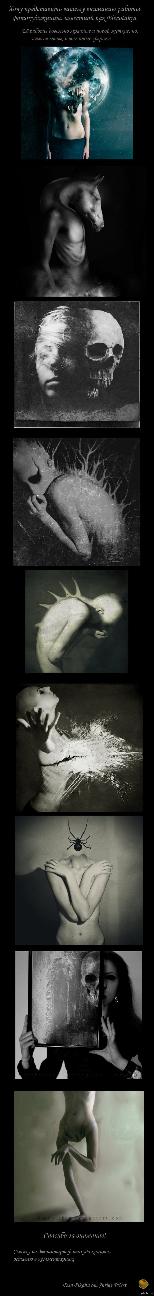 Blekotakra, ������� ������������.