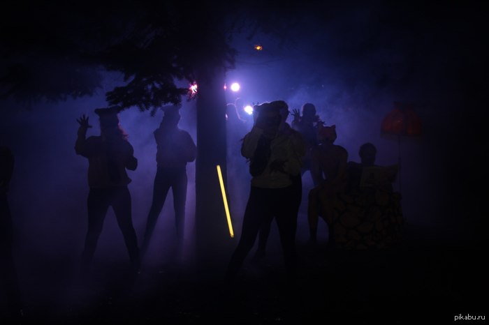 Хотим через неделю на пикабу разместить клип-пародию на клип "What does the fox say?"