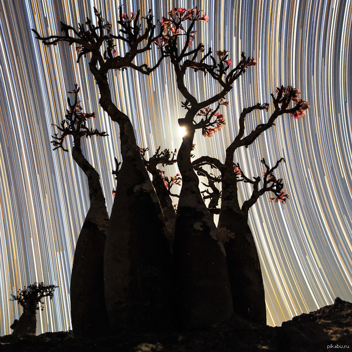  !      -  The American Dollar - Music for Focus and Creativity.