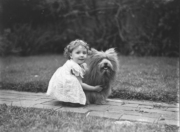 �������������.