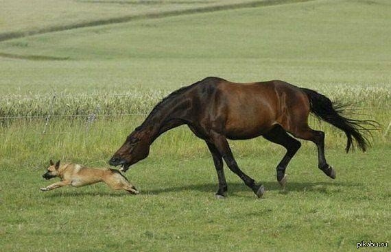 В параллельной Вселенной