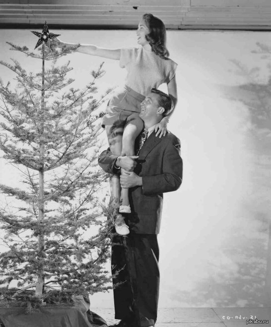 ��������� ���������� ���� ������