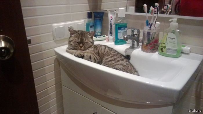 ������� �����