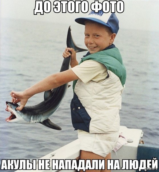 Смешные фотки акул