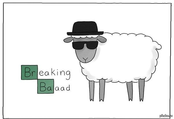 Breaking Baaad | Пикабу