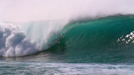 Море и сёрфинг.