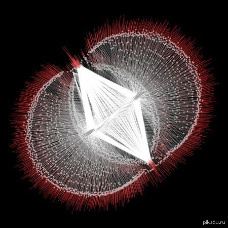 ����������� ����� ���������.