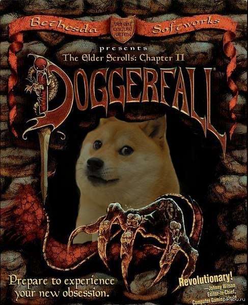Doggerfall) The Elder Doges