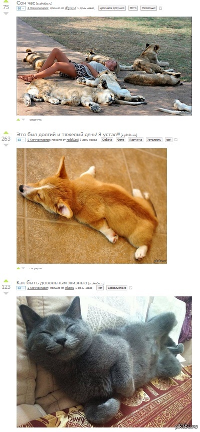 ������ ����������