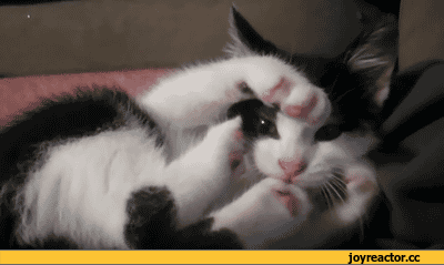 Я плохо себя вёл!