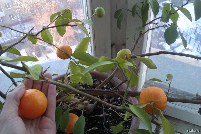 �������: � ������ ���� �����!