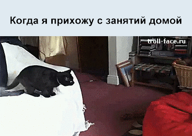 Жизненная ситуация