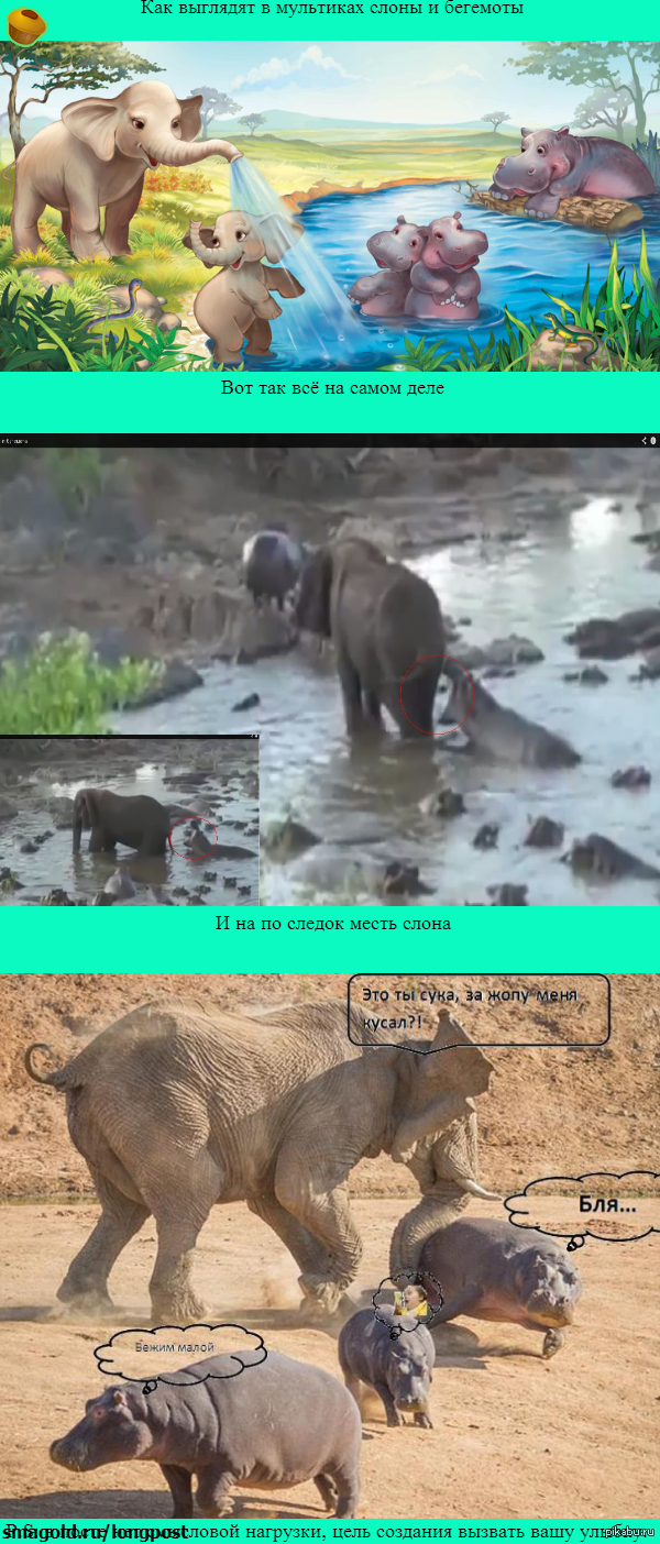 ��� ����� ��������