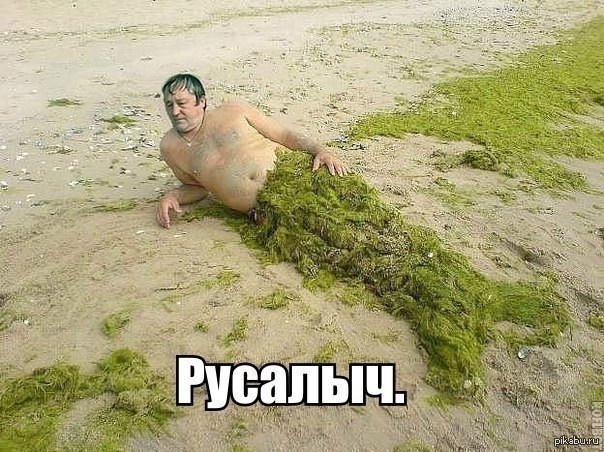 Пива не хватает)))