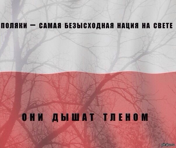 тлен по польски что значит. Смотреть фото тлен по польски что значит. Смотреть картинку тлен по польски что значит. Картинка про тлен по польски что значит. Фото тлен по польски что значит