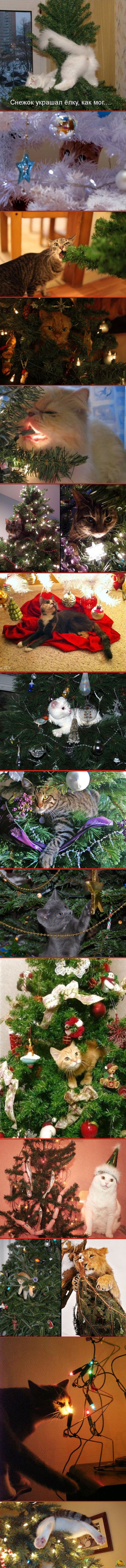 Christmas tree for a cat! - cat, New Year, Mood, Longpost