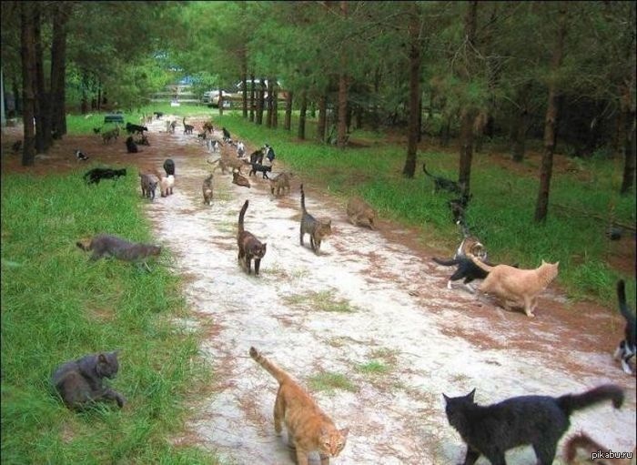 ������ ����� ����� 200 ����� �������� ���� �����