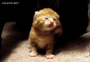 Gif Кайф