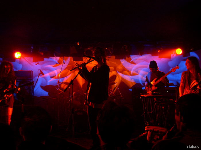      Ozric Tentacles?   ,      .   ,        