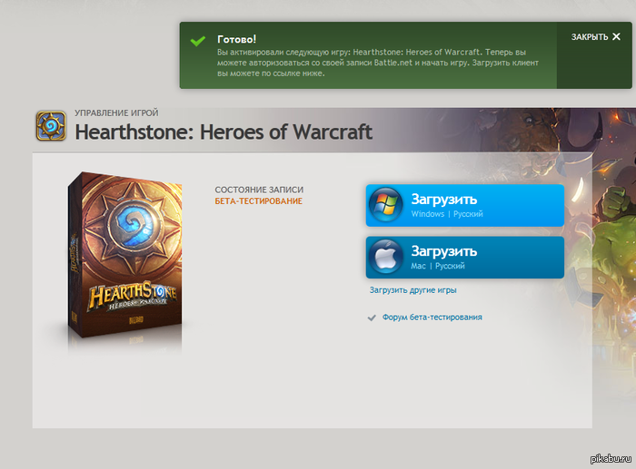     HearthStone .    ,  .