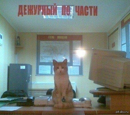 Не только в библиотеке!