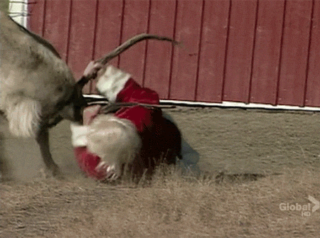 santa is already harnessing the reindeer)) - Santa Claus, Deer, Skirmish, GIF, Deer