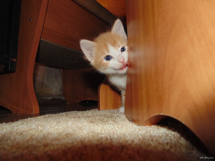 Вы все на работу, а я остаюсь дома! :рр