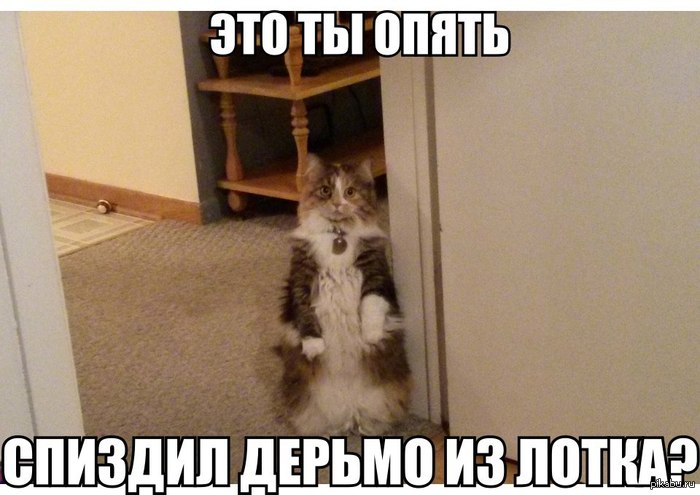 Признавайся!