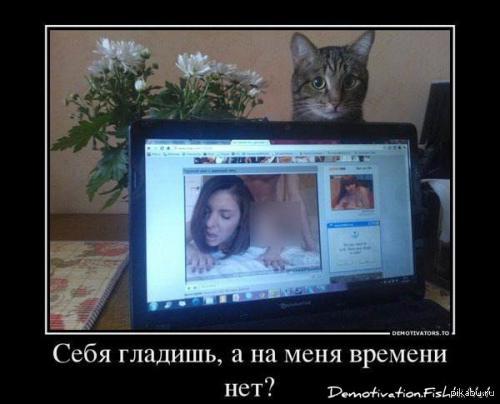 Любите своих питомцев, не травмируйте им психику.