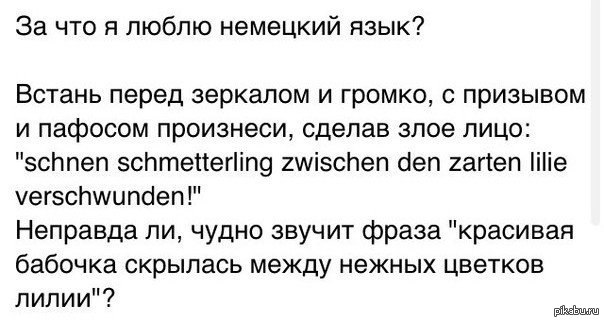 Бабочка на немецком языке. Приколы про немецкий язык. Шутка про бабочку на немецком. Анекдоты про немецкий язык. Смешной немецкий язык.